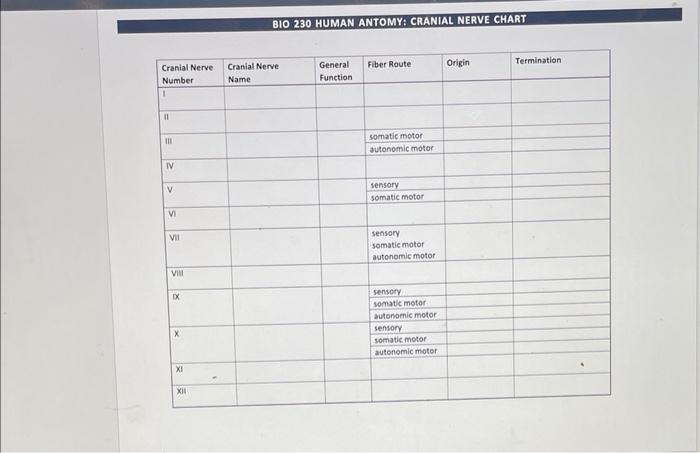 Cranial Nerve Number 11 Iii Iv V Vi Vii Viii Ix X Xi 5 Xii Bio 230 Human Antomy Cranial Nerve Chart Cranial Nerve Name 1