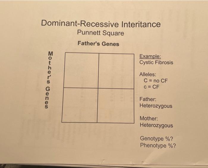Dominant Recessive Interitance Punnett Square Father S Genes Motlois Golos T R Example Cystic Fibrosis Alleles C No 1