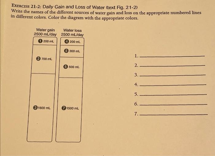 Exercise 21 2 Daily Gain And Loss Of Water Text Fig 21 2 Write The Names Of The Different Sources Of Water Gain And 1