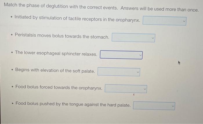 Match The Phase Of Deglutition With The Correct Events Answers Will Be Used More Than Once Initiated By Stimulation Of 1