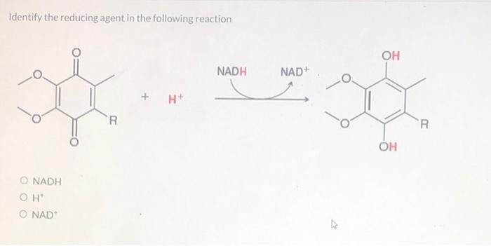 Identify The Reducing Agent In The Following Reaction O Nadh Oht O Nad R H Nadh Nad Oh Oh R Choose The Reagents Co 5