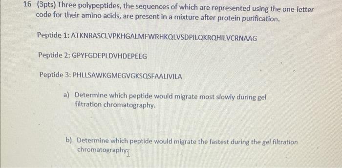 16 3pts Three Polypeptides The Sequences Of Which Are Represented Using The One Letter Code For Their Amino Acids Ar 1