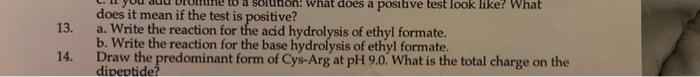 13 14 What Does A Positive Test Look Like What Does It Mean If The Test Is Positive A Write The Reaction For The Ac 1