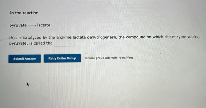 In The Reaction Pyruvate Lactate That Is Catalyzed By The Enzyme Lactate Dehydrogenase The Compound On Which The Enzyme 2