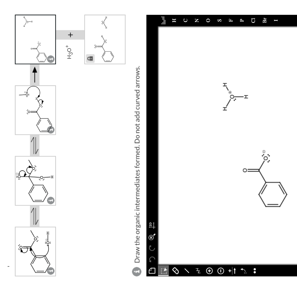 D Z 1 Nn Draw The Organic Intermediates Formed Do Not Add Curved Arrows Dc H Y H 4 H3o H C N O S F P Cl Br 1