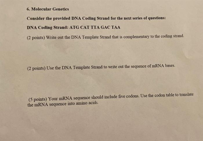 6 Molecular Genetics Consider The Provided Dna Coding Strand For The Next Series Of Questions Dna Coding Strand Atg C 1