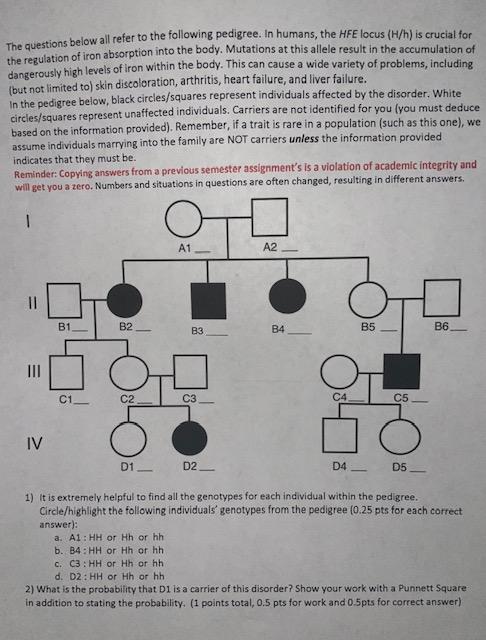 The Questions Below All Refer To The Following Pedigree In Humans The Hfe Locus H H Is Crucial For The Regulation Of 1