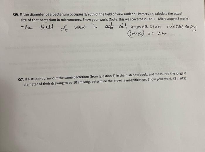 Q6 If The Diameter Of A Bacterium Occupies 1 20th Of The Field Of View Under Oil Immersion Calculate The Actual Size O 1