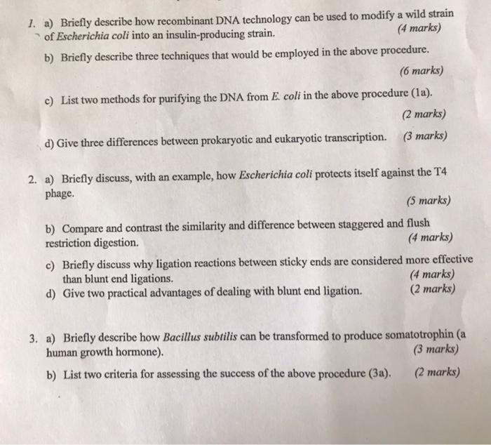 1 A Briefly Describe How Recombinant Dna Technology Can Be Used To Modify A Wild Strain 4 Marks Of Escherichia Coli 1