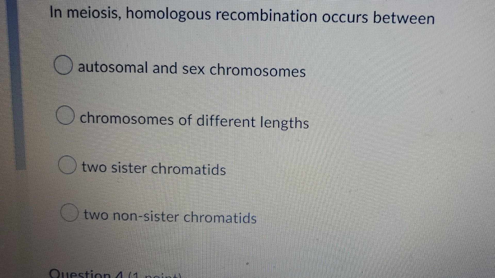 In Meiosis Homologous Recombination Occurs Between Autosomal And Sex Chromosomes Chromosomes Of Different Lengths Two S 1