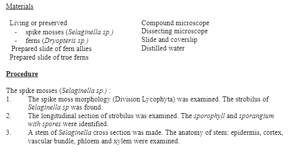 Experiment 2 Seedless Vascular Plants Fern Allies And Ferns Introduction The Most Prevalent And Noticeable Group Of La 2