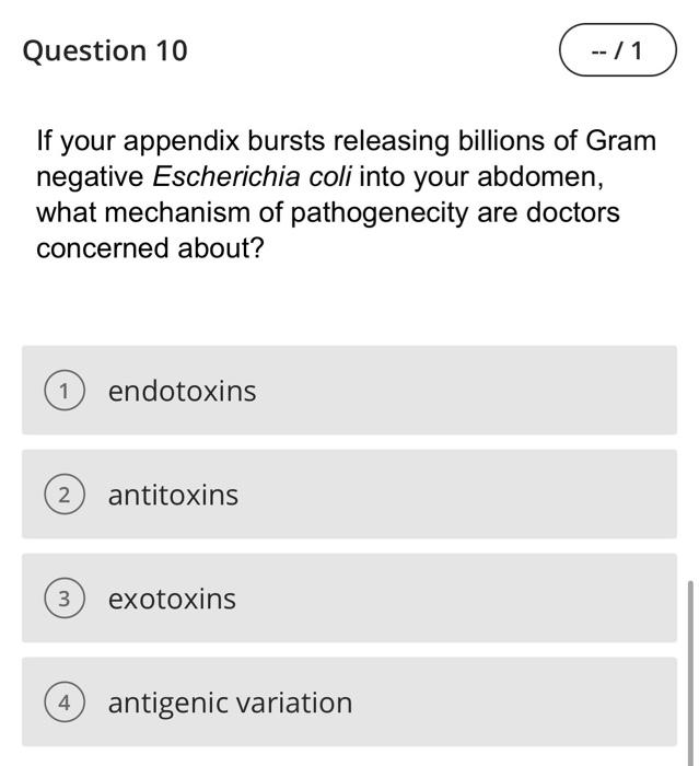 Question 5 Many Antifungals Such As Nystatin Target Which Fungal Cell Component 1 Unknown 2 Peptidoglycan 3 Ergosterols 4
