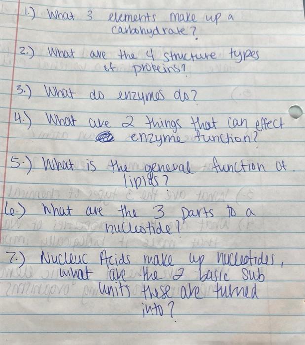 1 What 3 Elements Make Up A Carbohydrate 2 What Are The 4 Structure Types Of Proteins 3 What Do Enzymes Do 4 1