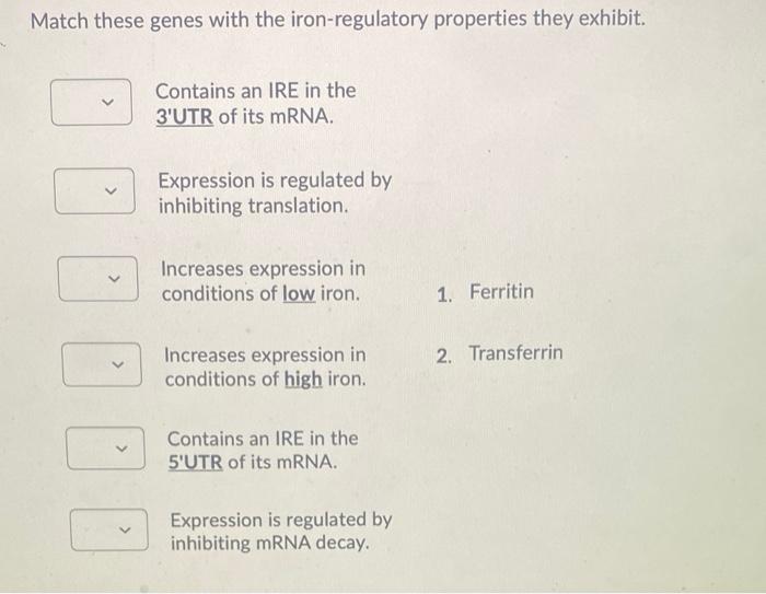 Match These Genes With The Iron Regulatory Properties They Exhibit Contains An Ire In The 3 Utr Of Its Mrna 1