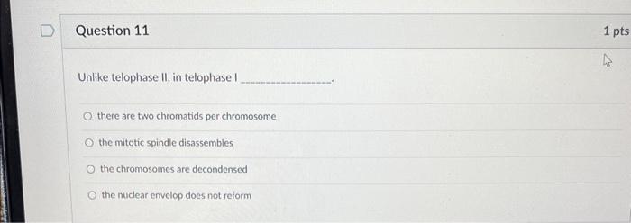 Question 11 Unlike Telophase Ii In Telophase I Othere Are Two Chromatids Per Chromosome O The Mitotic Spindle Disassem 1
