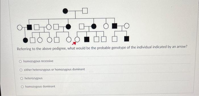 Question 13 Incomplete Dominance Affects The Phenotype Of A Heterozygote By O Resulting In A Blend Of The Dominant And 2