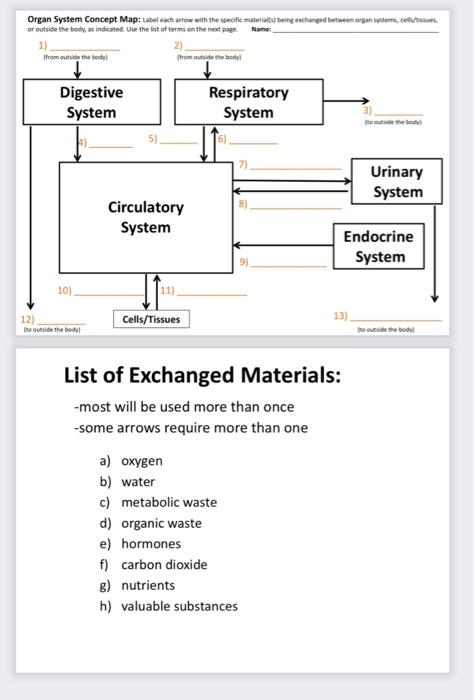 Organ System Concept Map Label Each Arrow With The Specific Materials Being Exchanged Between Organ Systems Cell Issue 1