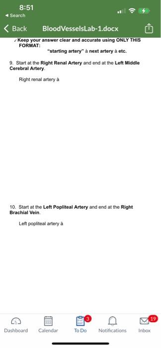 8 50 Search Back Bloodvesselslab 1 Docx South Seattle College Lab Blood Vessel Lab Name Exercise 1 Blood Vessel St 3