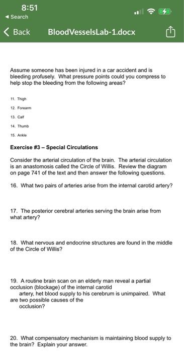 8 50 Search Back Bloodvesselslab 1 Docx South Seattle College Lab Blood Vessel Lab Name Exercise 1 Blood Vessel St 5