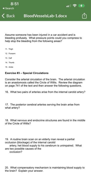 8 50 Search Back Bloodvesselslab 1 Docx South Seattle College Lab Blood Vessel Lab Name Exercise 1 Blood Vessel St 6