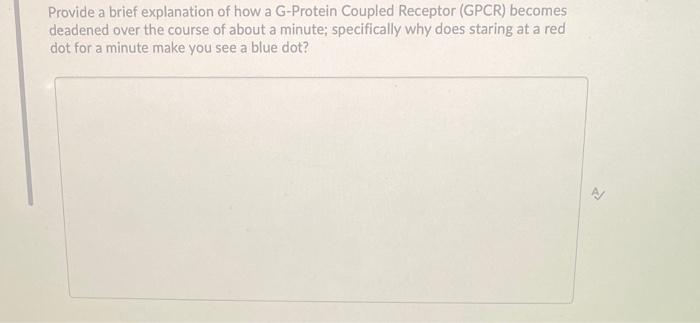 Provide A Brief Explanation Of How A G Protein Coupled Receptor Gpcr Becomes Deadened Over The Course Of About A Minut 1