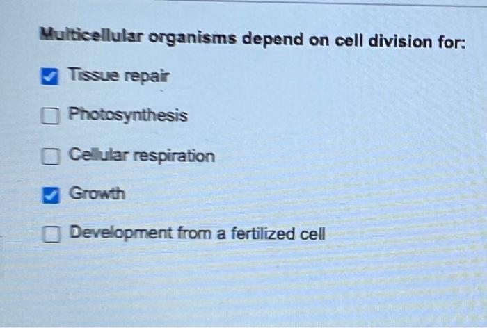 Multicellular Organisms Depend On Cell Division For Tissue Repair Photosynthesis Cellular Respiration Growth Developmen 1