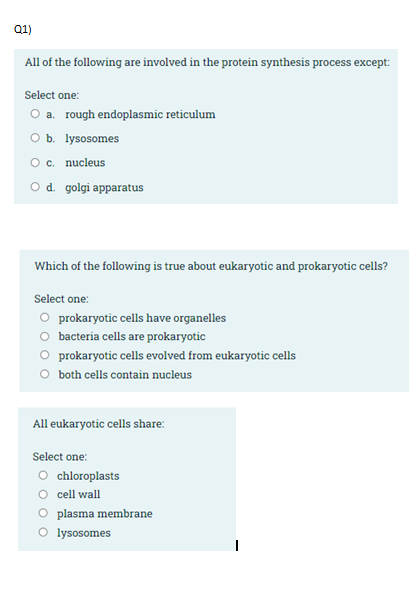Q1 All Of The Following Are Involved In The Protein Synthesis Process Except Select One O A Rough Endoplasmic Reticu 1