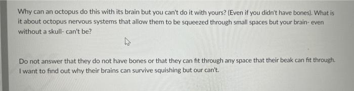 Why Can An Octopus Do This With Its Brain But You Can T Do It With Yours Even If You Didn T Have Bones What Is It Ab 1