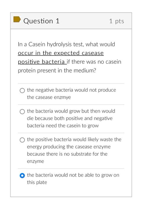 Question 1 1 Pts In A Casein Hydrolysis Test What Would Occur In The Expected Casease Positive Bacteria If There Was No 1