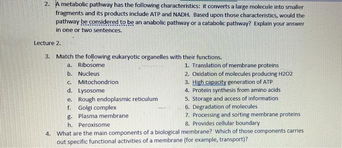 2 A Metabolic Pathway Has The Following Characteristics It Converts A Large Molecule Into Smaller Fragments And Its Pr 1