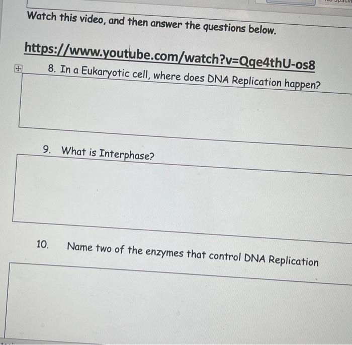 Watch This Video And Then Answer The Questions Below Https Www Youtube Com Watch V Qqe4thu Os8 8 In A Eukaryotic Ce 1
