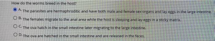 Question 1 Case Study A 4 Year Old Male Is Brought To His Pediatrician S Offer By His Mother She States That She Has S 5