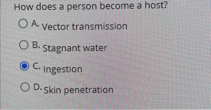 Question 1 Case Study A 4 Year Old Male Is Brought To His Pediatrician S Offer By His Mother She States That She Has S 7