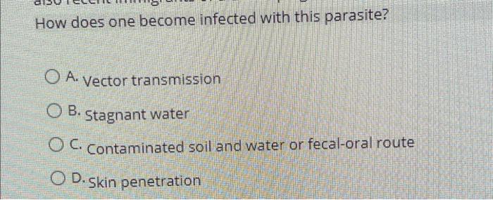 Case Study 3 A 5 Year Old Female Was Seen In A Community Clinic After Vomiting A Worm This Frightening Experience In 3