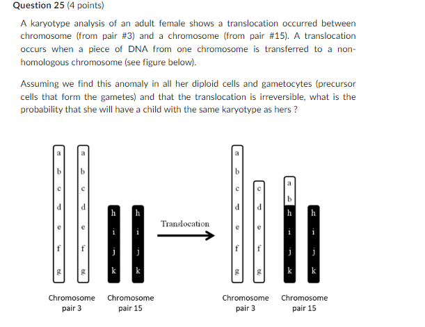 Question 25 4 Points A Karyotype Analysis Of An Adult Female Shows A Translocation Occurred Between Chromosome From P 1