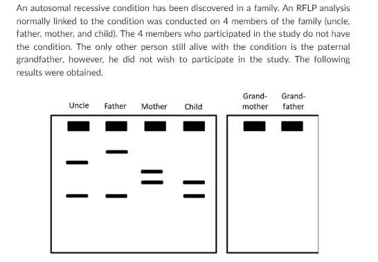 An Autosomal Recessive Condition Has Been Discovered In A Family An Rflp Analysis Normally Linked To The Condition Was 1