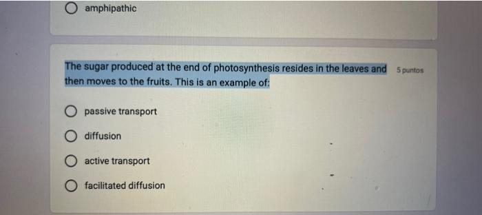 Amphipathic The Sugar Produced At The End Of Photosynthesis Resides In The Leaves And 5 Puntos Then Moves To The Fruits 1