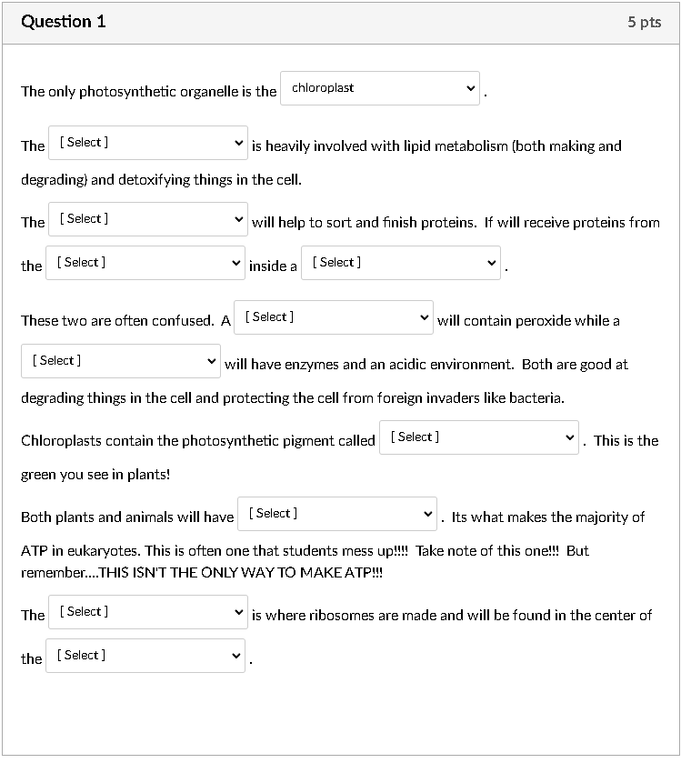 Need Help 1
