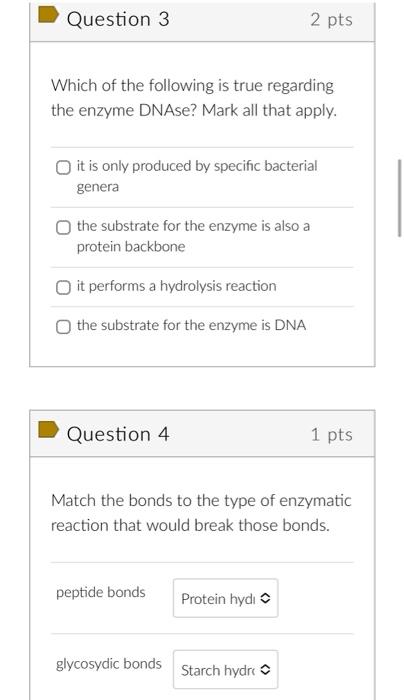 Which Of The Following Is True Regarding The Enzyme Dnase Mark All That Apply Match The Bonds To The Type Of Enzymatic 1