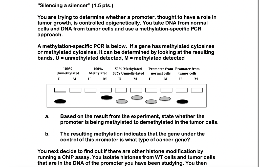 Silencing A Silencer I Have Already Answer A And B Please Only Answer C A Promoter Is 100 Methylated 1
