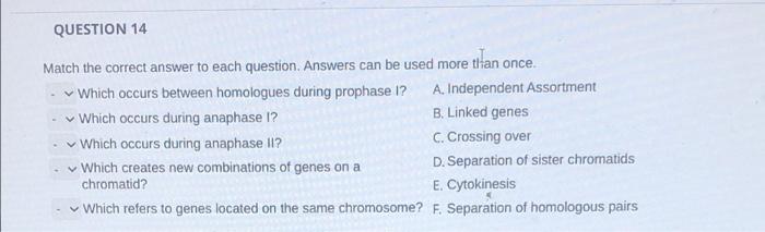 Question 14 Match The Correct Answer To Each Question Answers Can Be Used More Than Once Which Occurs Between Homologu 1