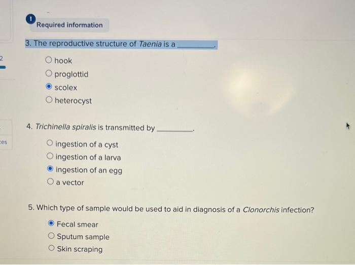 F2 Ok Ences 1 Necator Americanus Causes Human Hookworm Schistosomiasis O Pinworm O Tapeworm 2 Enterobius Vermicularis 2