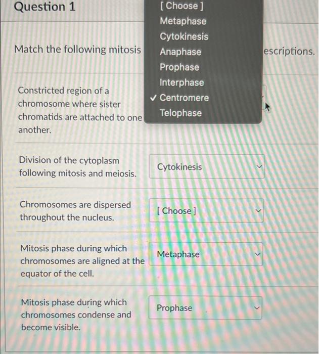 Question 1 Match The Following Mitosis Constricted Region Of A Chromosome Where Sister Chromatids Are Attached To One An 1