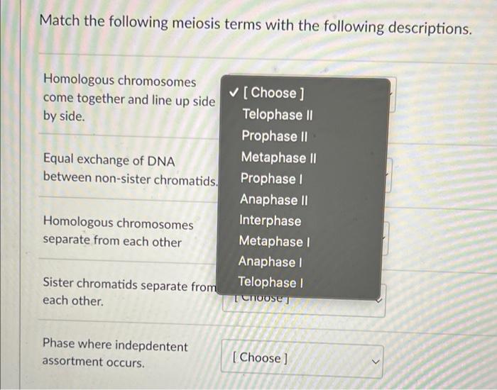 Question 1 Match The Following Mitosis Constricted Region Of A Chromosome Where Sister Chromatids Are Attached To One An 2