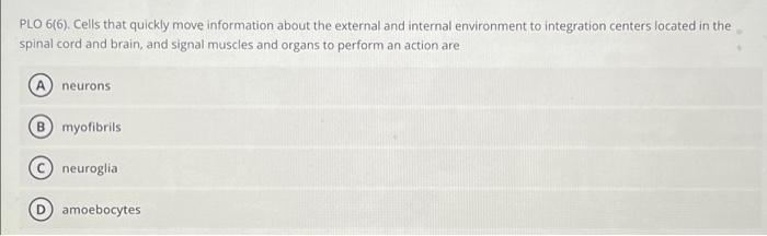Plo 7 6 Circulatory Systems Of Animals Function To Transport Nutrients And Or Oxygen To Tissues Which Of The Followin 4