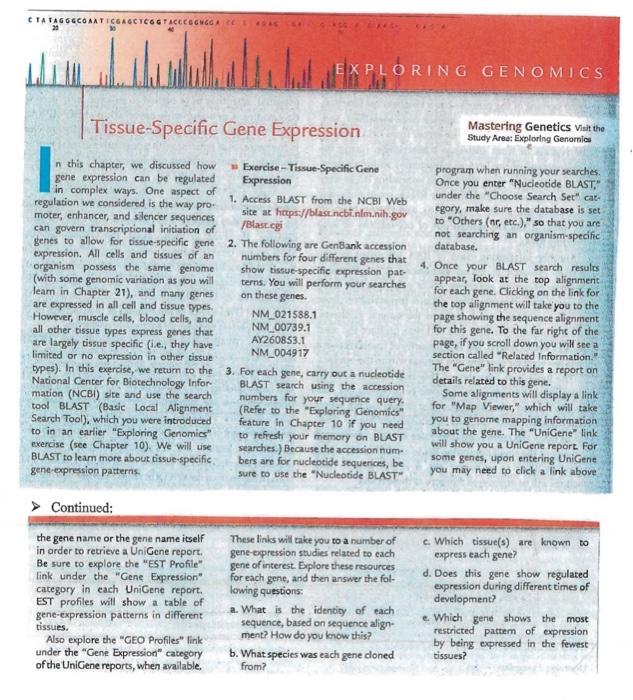 Tagggcoaaticgagctcggtacccogngga Gas Tissue Specific Gene Expression In This Chapter We Discussed How Gene Expression Ca 1