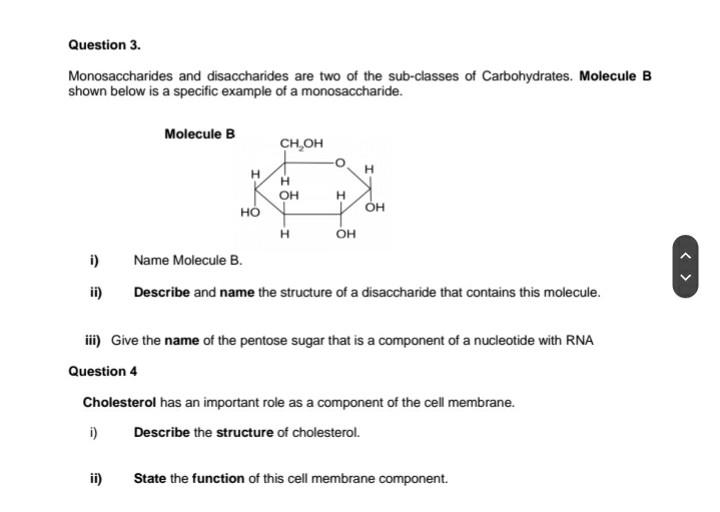 Question 3 Monosaccharides And Disaccharides Are Two Of The Sub Classes Of Carbohydrates Molecule B Shown Below Is A S 1