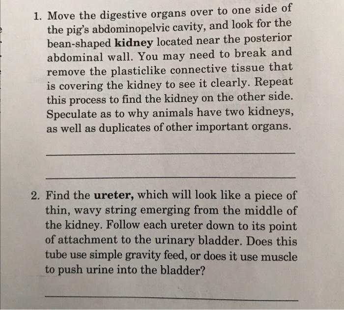 Introduction The Digestive Tract Absorbs Nutrients As Well As Sub Stances That We Cannot Metabolize Also Metabolism 6