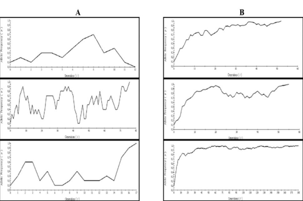 Look At The Graphics Below They All Represent The Behavior Of The Frequency Of A Mutant Allele Over Several Generations 1