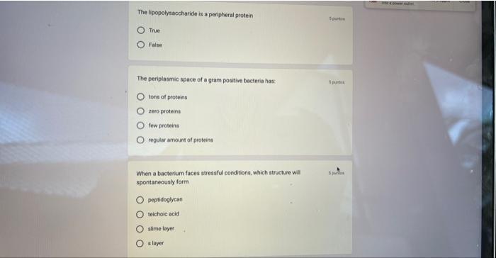The Lipopolysaccharide Is A Peripheral Protein True O O O False The Periplasmic Space Of A Gram Positive Bacteria Has To 1